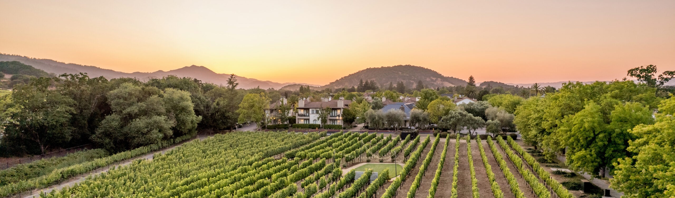 The-Estate-Yountville-Partner-Assets-DJI_0045-1_R-2560x1440